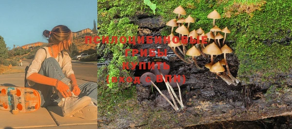 эйфоретик Козловка