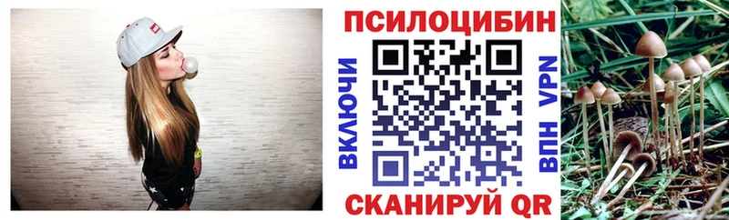 где продают наркотики  Кувандык  Галлюциногенные грибы MAGIC MUSHROOMS 