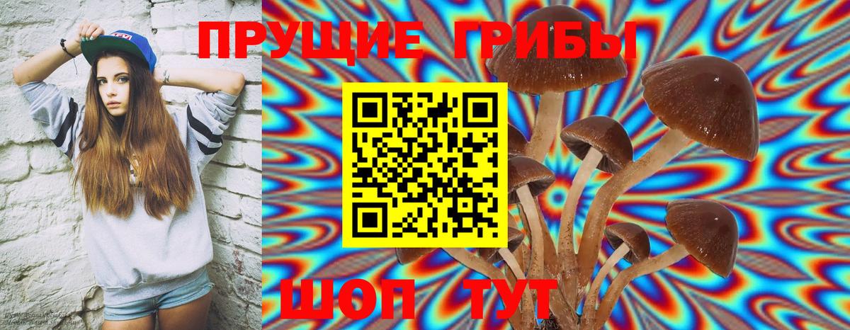 Галлюциногенные грибы Cubensis Кувандык