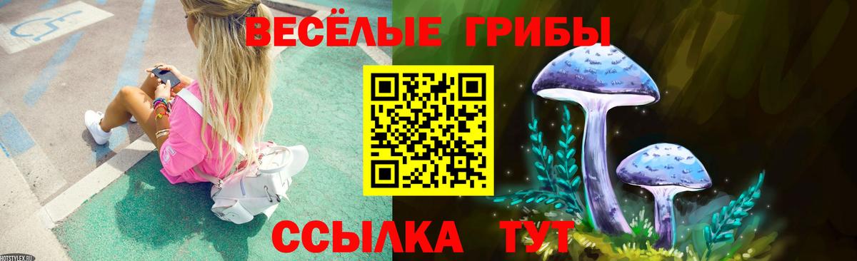 Галлюциногенные грибы мухоморы  Вход с VPN  Кувандык 